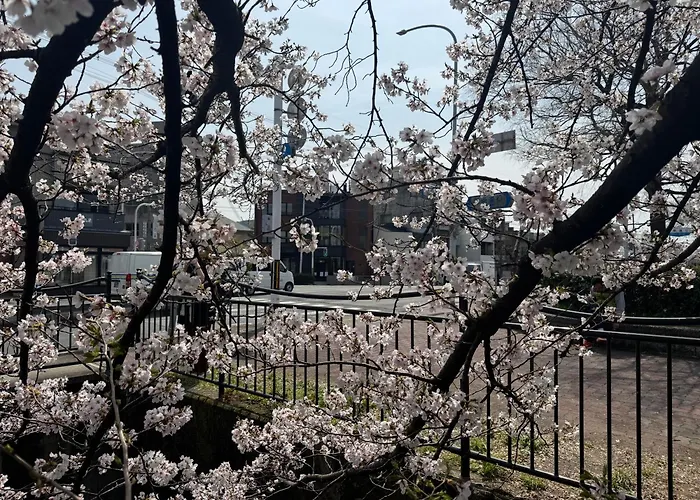 Mont-モン-Kamogawa Stay And Hotel