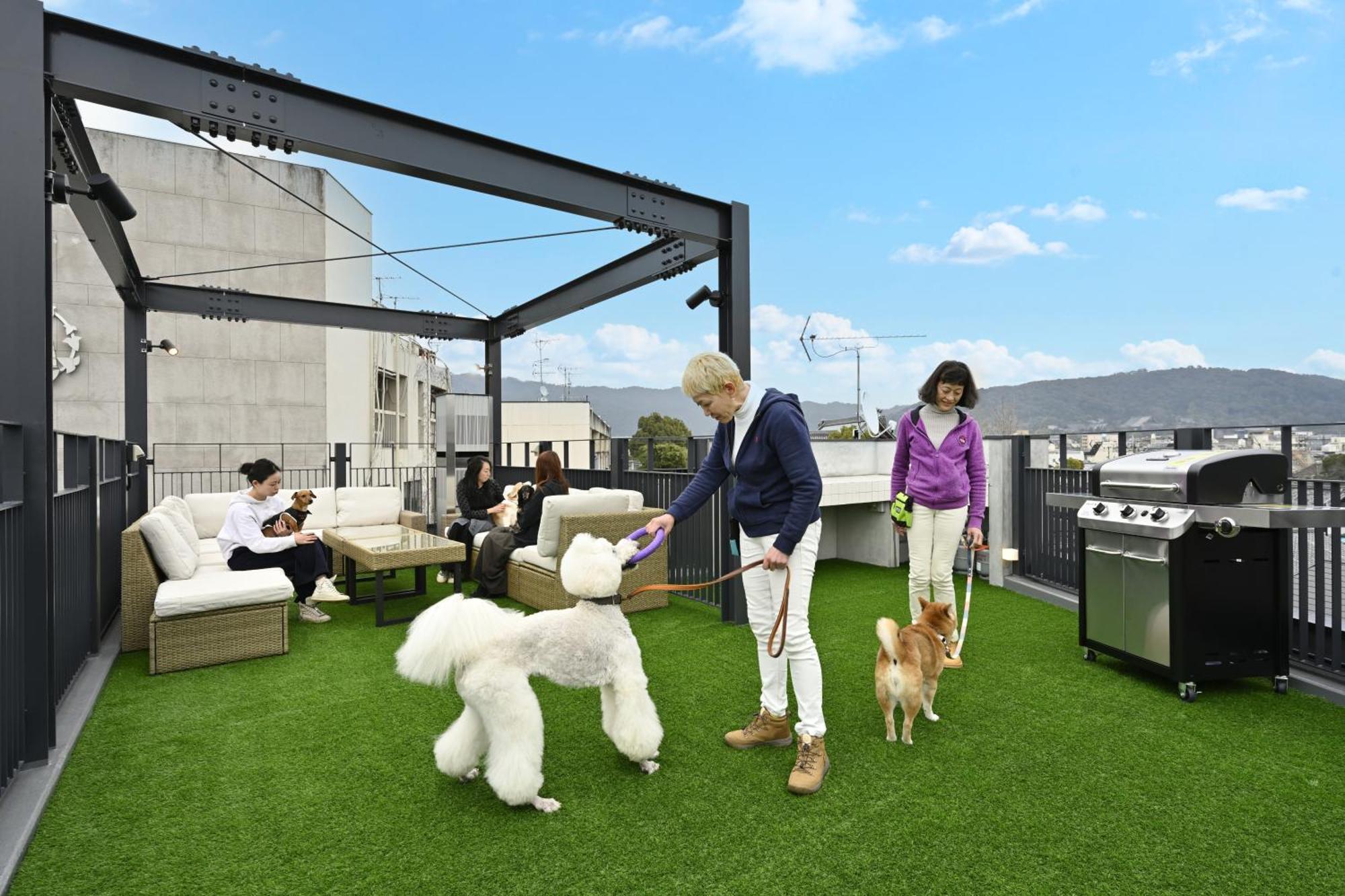 Mont-モン-kamogawa And Appartement